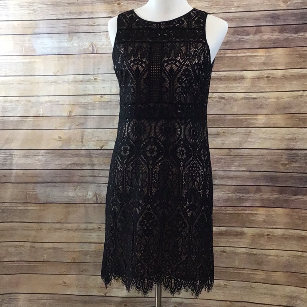 Loft Lace Overlay Dress